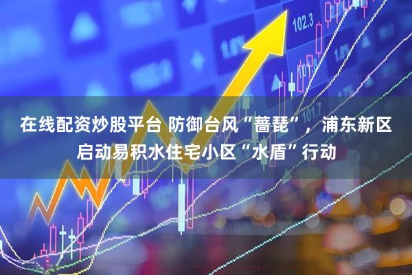 在线配资炒股平台 防御台风“蔷琵”，浦东新区启动易积水住宅小区“水盾”行动